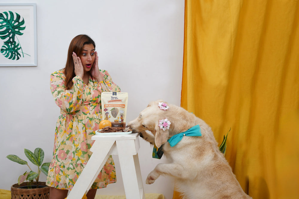 Premium Ingredients Matter: Why Mutton and Mango Create the Perfect Pairing for Picky Dogs