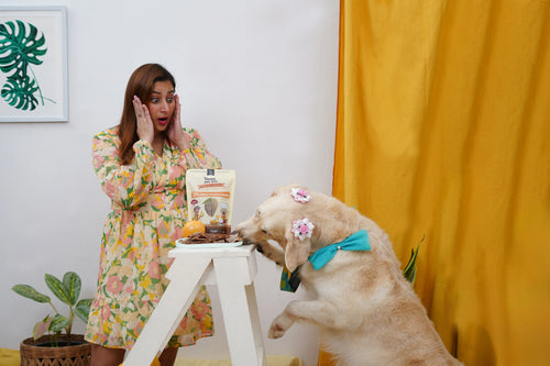 Premium Ingredients Matter: Why Mutton and Mango Create the Perfect Pairing for Picky Dogs