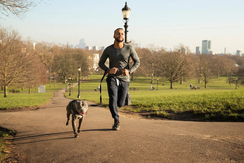 Muscle Matters: Why Protein Quality Is Critical for Your Dog's Strength and Health