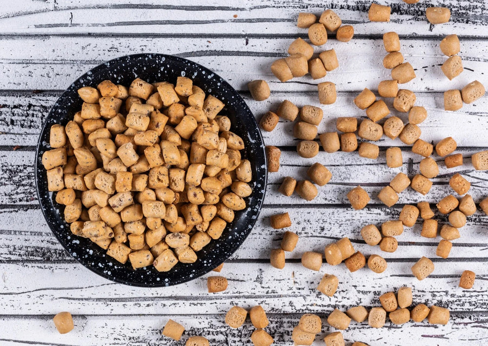 Why 55% Carbs in Commercial Pet Food Is Silently Reducing Your Dog's Lifespan