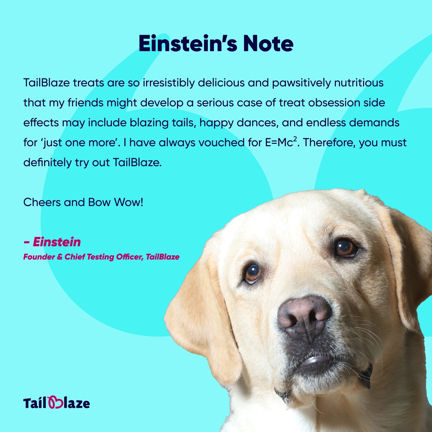 TailBlaze Cocool Calming & Skin Care Treats | Anti-Anxiety & Coat Health | Organic Dog Treats