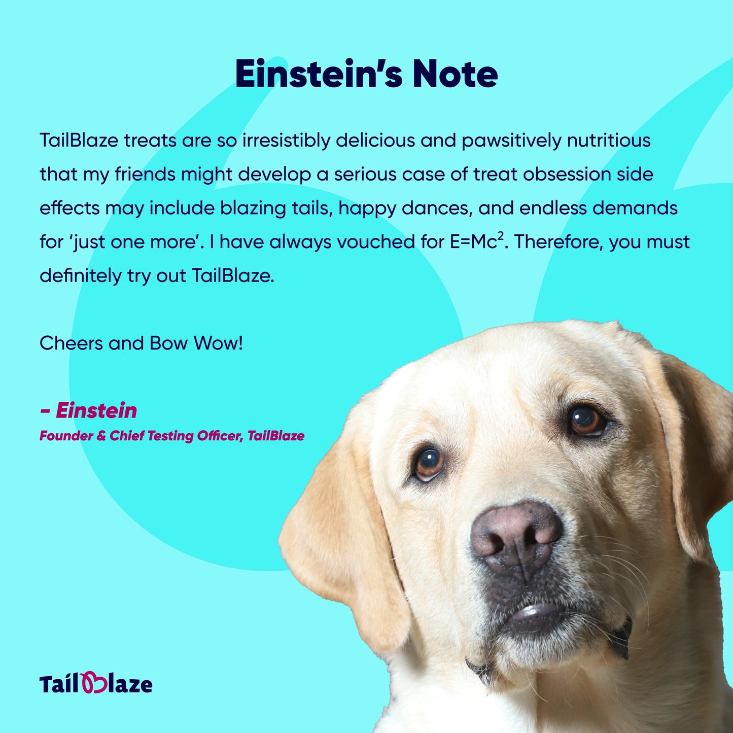 TailBlaze LOL! Training Treats | Small Size, High Success | Organic Dog Training Rewards