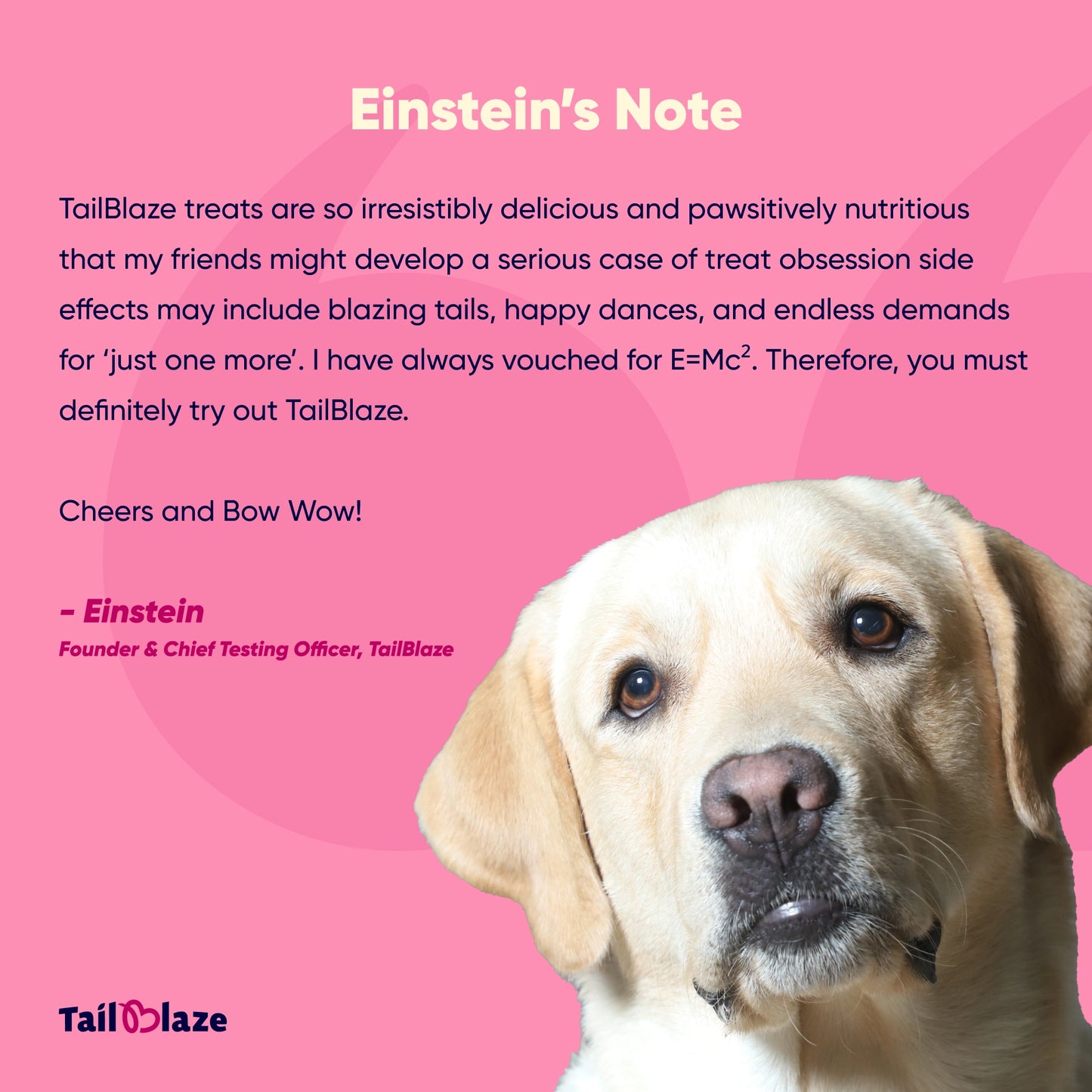 TailBlaze Chipots Dental Care Treats | Fresh Breath & Clean Teeth | Organic Dental Dog Treats