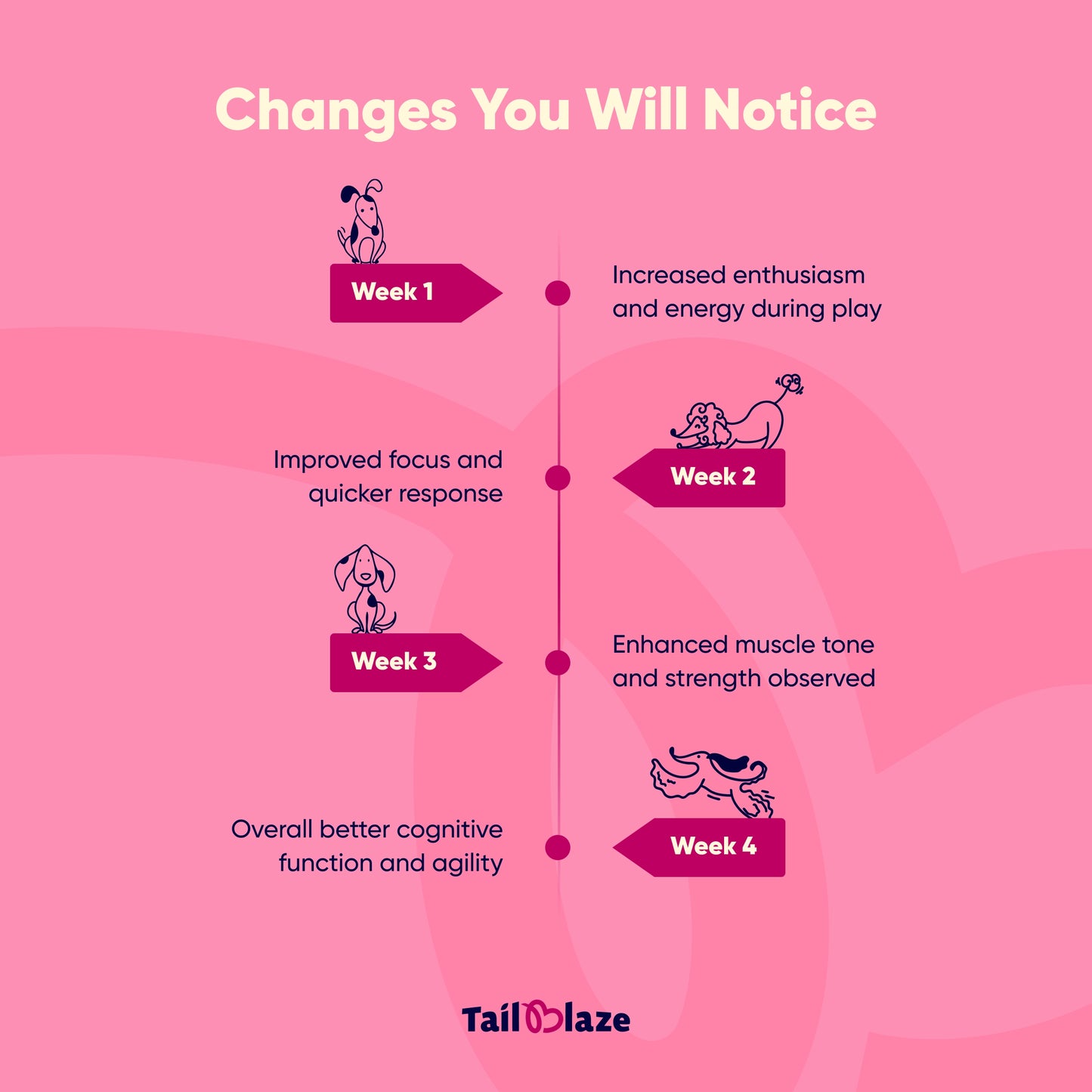 TailBlaze Grandma's Cheese Brain & Muscle Treats | Real Amul Cheese | Organic Smart Dog Treats