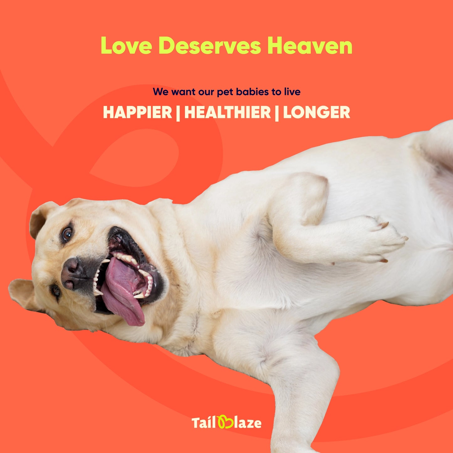 Winter Wellness Combo Pack