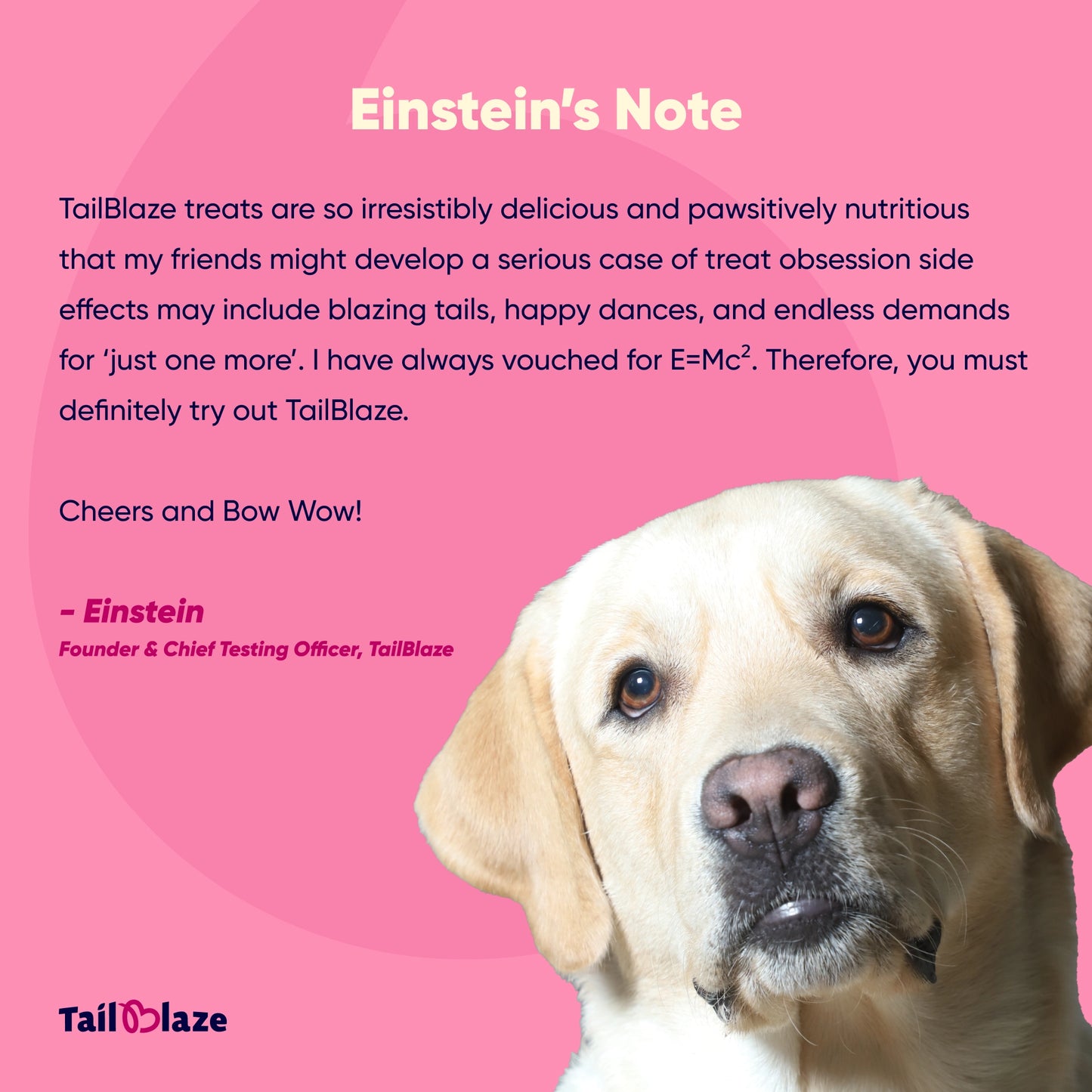 The New Pet Parent Starter Kit