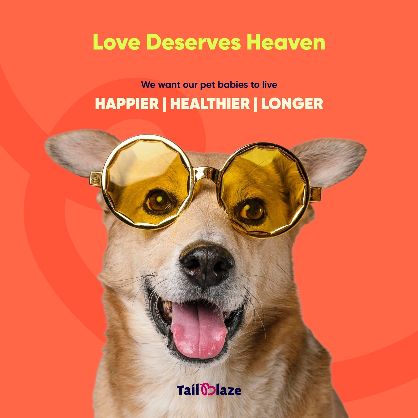 Ultimate Wellness Combo Pack