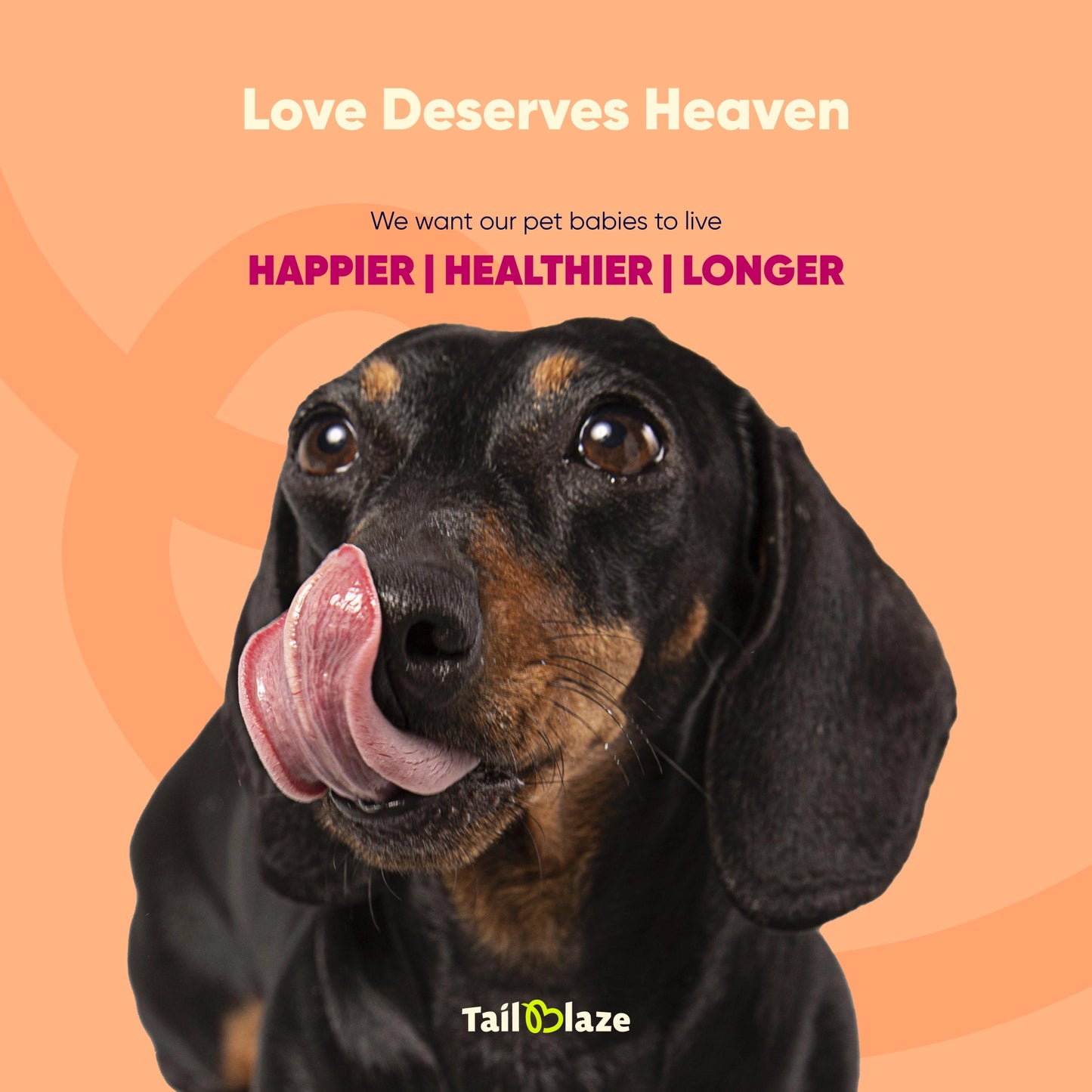 TailBlaze Chipots Dental Care Treats | Fresh Breath & Clean Teeth | Organic Dental Dog Treats