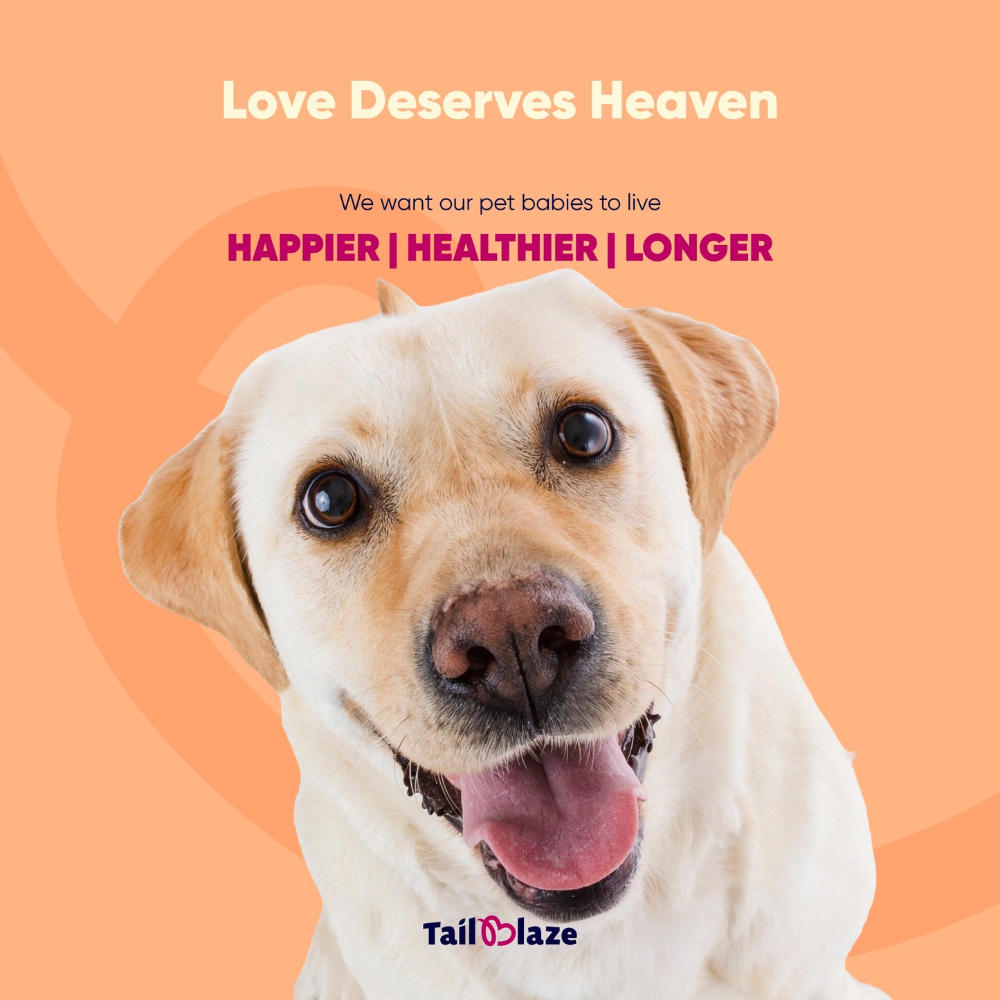 TailBlaze Grandma's Signature Muscle Treats | 100% Organic Chicken | Premium Protein Dog Treats