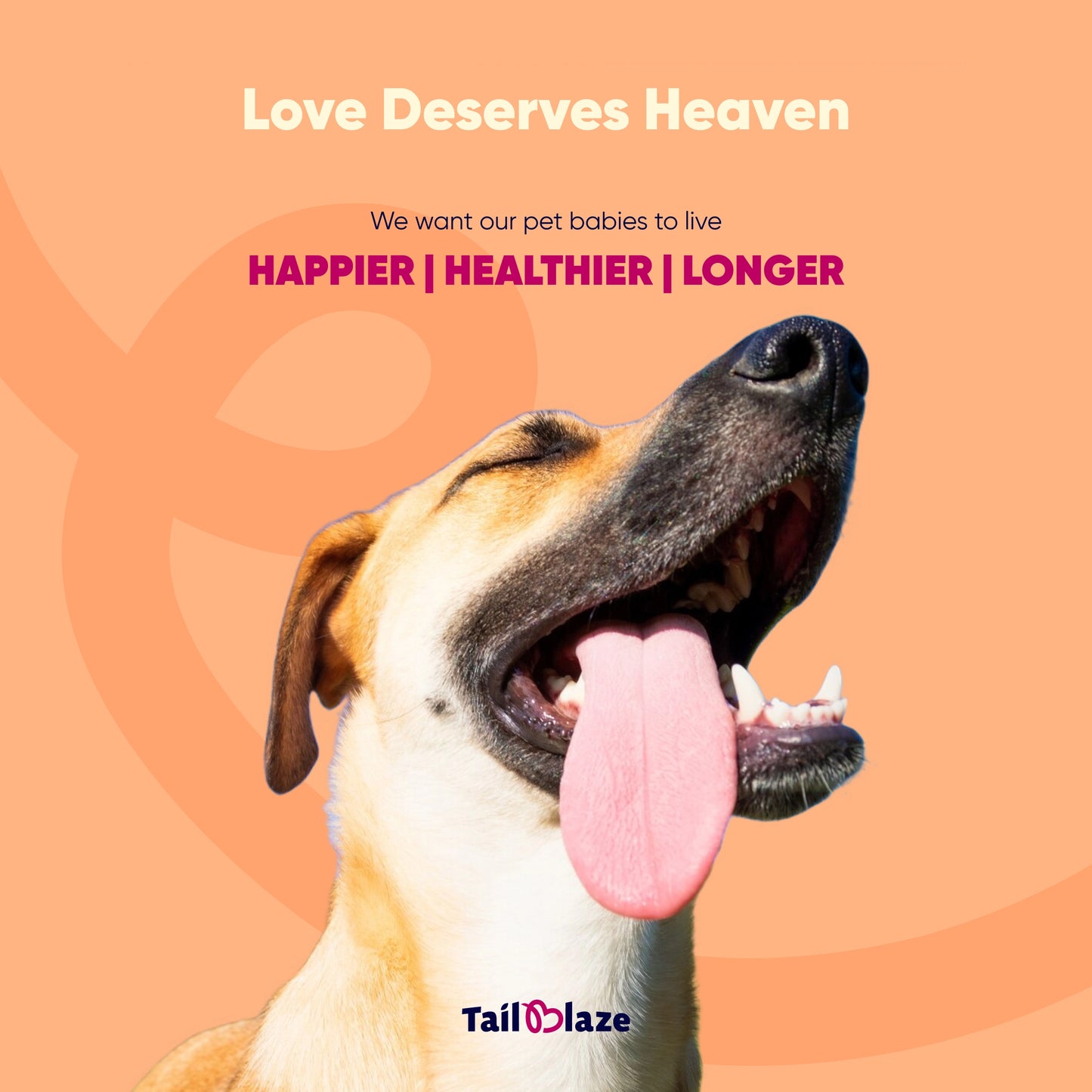 TailBlaze Grandma's Cheese Brain & Muscle Treats | Real Amul Cheese | Organic Smart Dog Treats