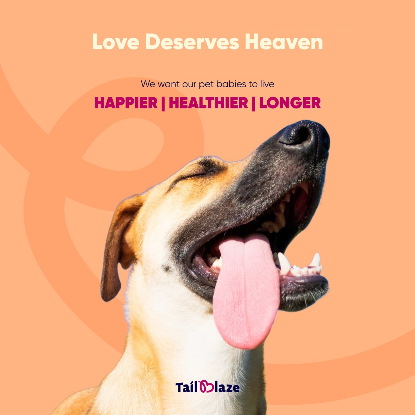 TailBlaze Cocool Calming & Skin Care Treats | Anti-Anxiety & Coat Health | Organic Dog Treats