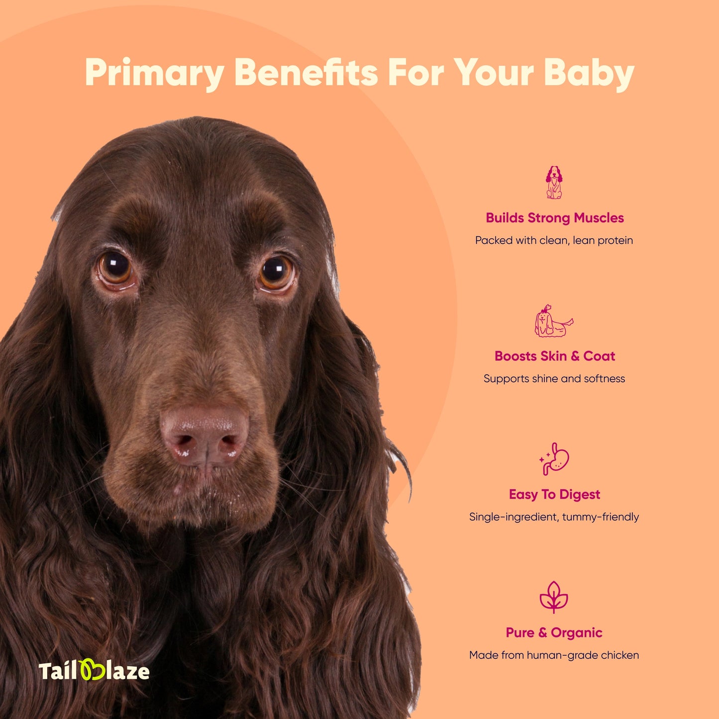 TailBlaze Grandma's Signature Muscle Treats | 100% Organic Chicken | Premium Protein Dog Treats