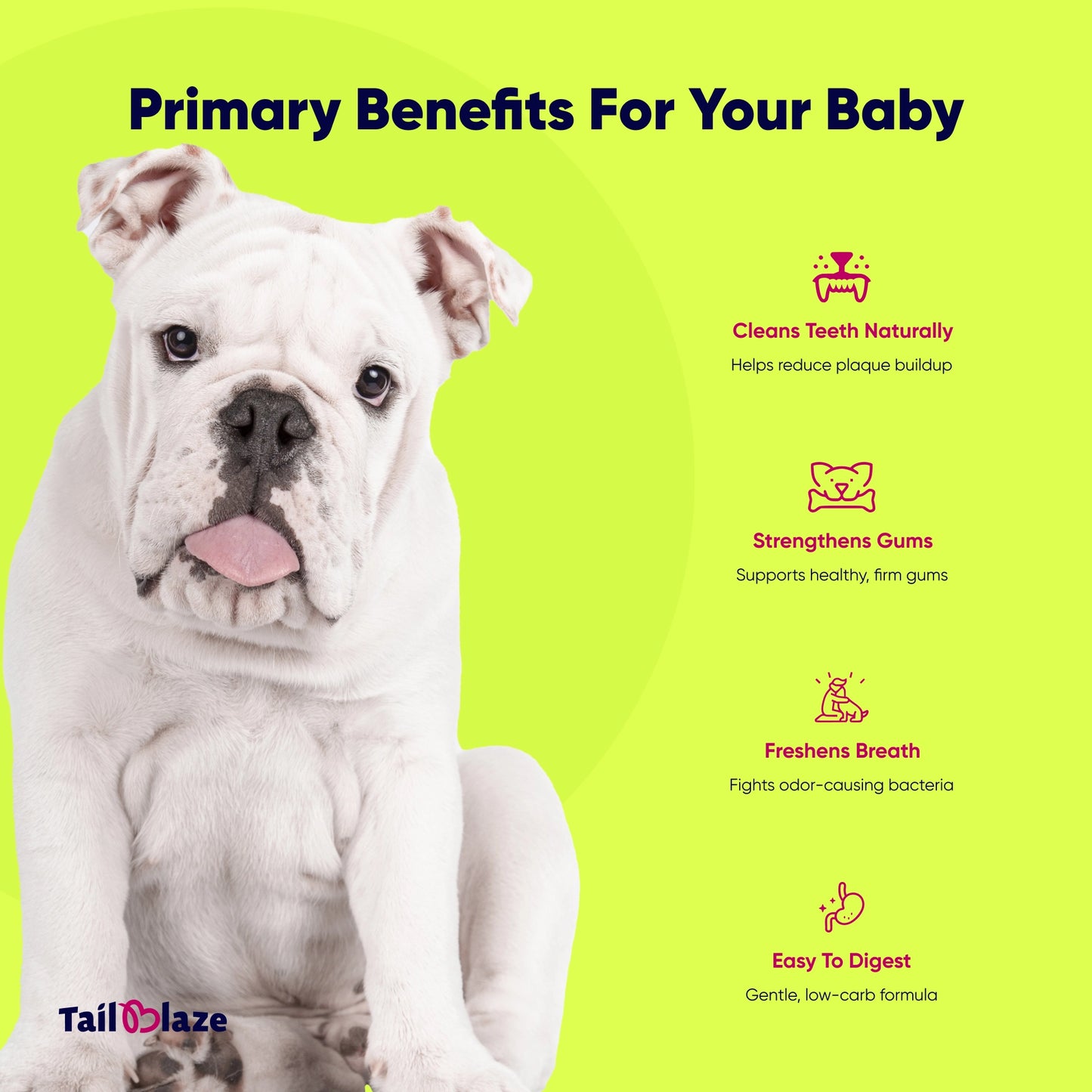 TailBlaze Chipots Dental Care Treats | Fresh Breath & Clean Teeth | Organic Dental Dog Treats