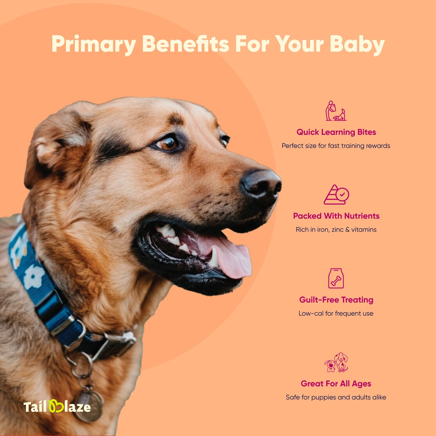 TailBlaze LOL! Training Treats | Small Size, High Success | Organic Dog Training Rewards