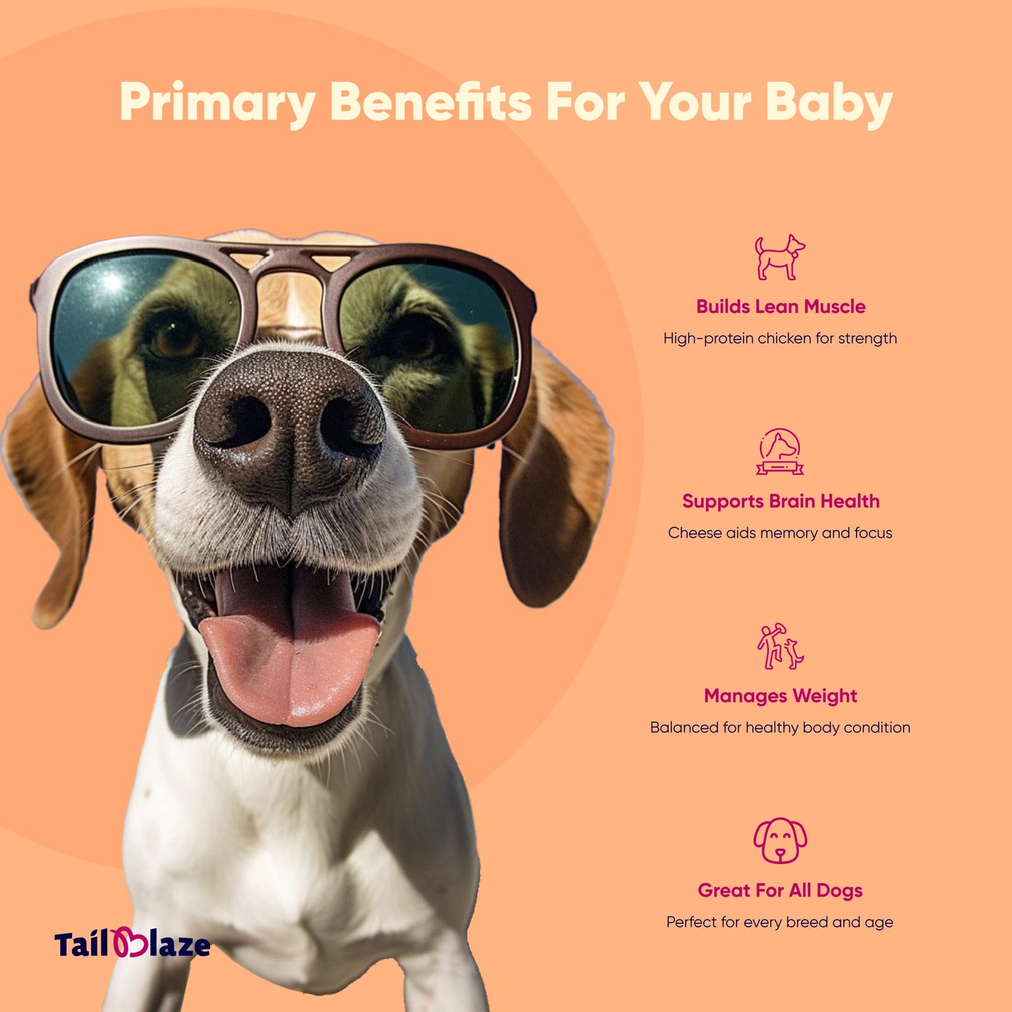 TailBlaze Grandma's Cheese Brain & Muscle Treats | Real Amul Cheese | Organic Smart Dog Treats