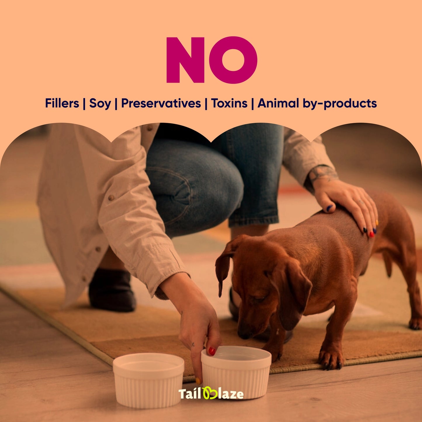 TailBlaze Chipots Dental Care Treats | Fresh Breath & Clean Teeth | Organic Dental Dog Treats