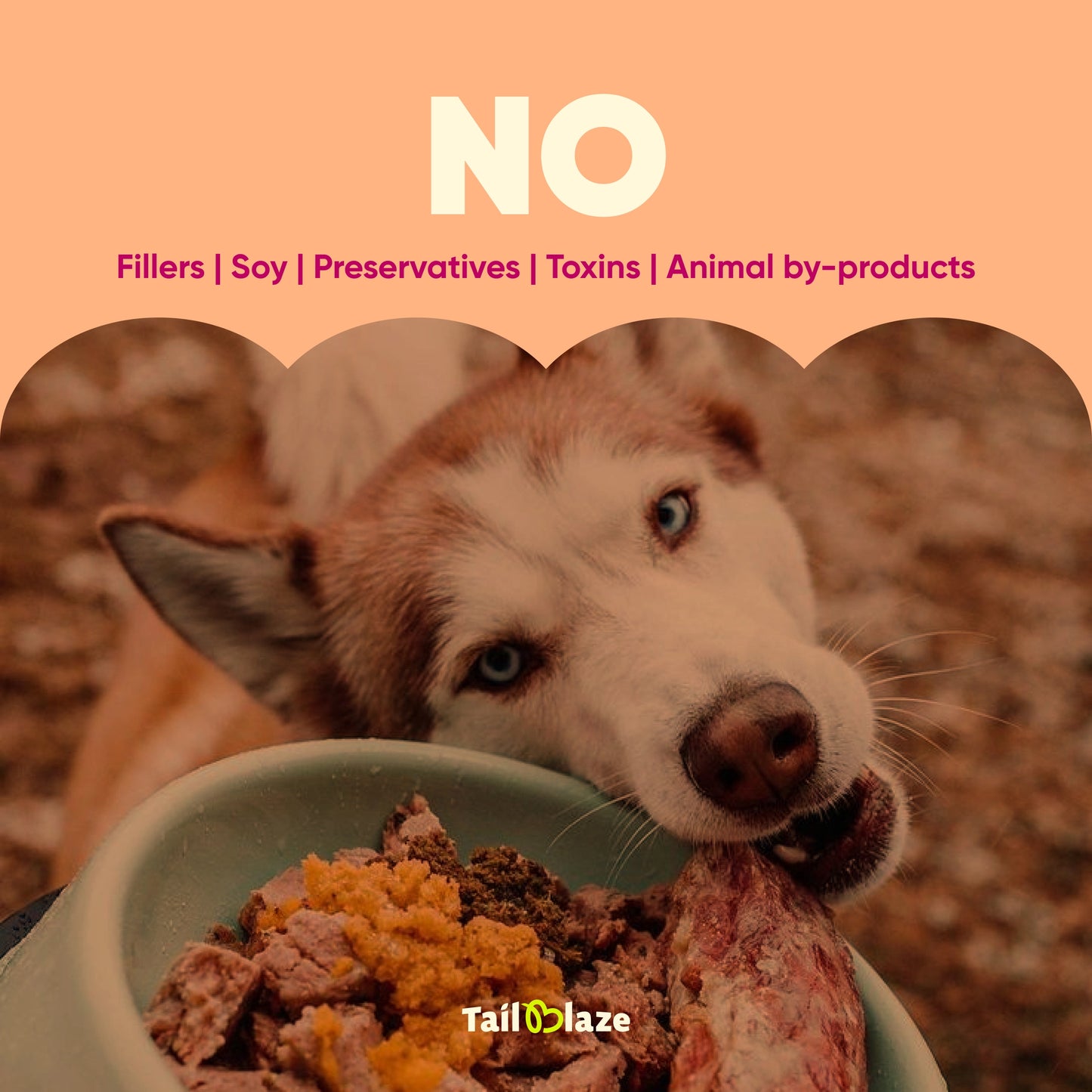 TailBlaze LOL! Training Treats | Small Size, High Success | Organic Dog Training Rewards