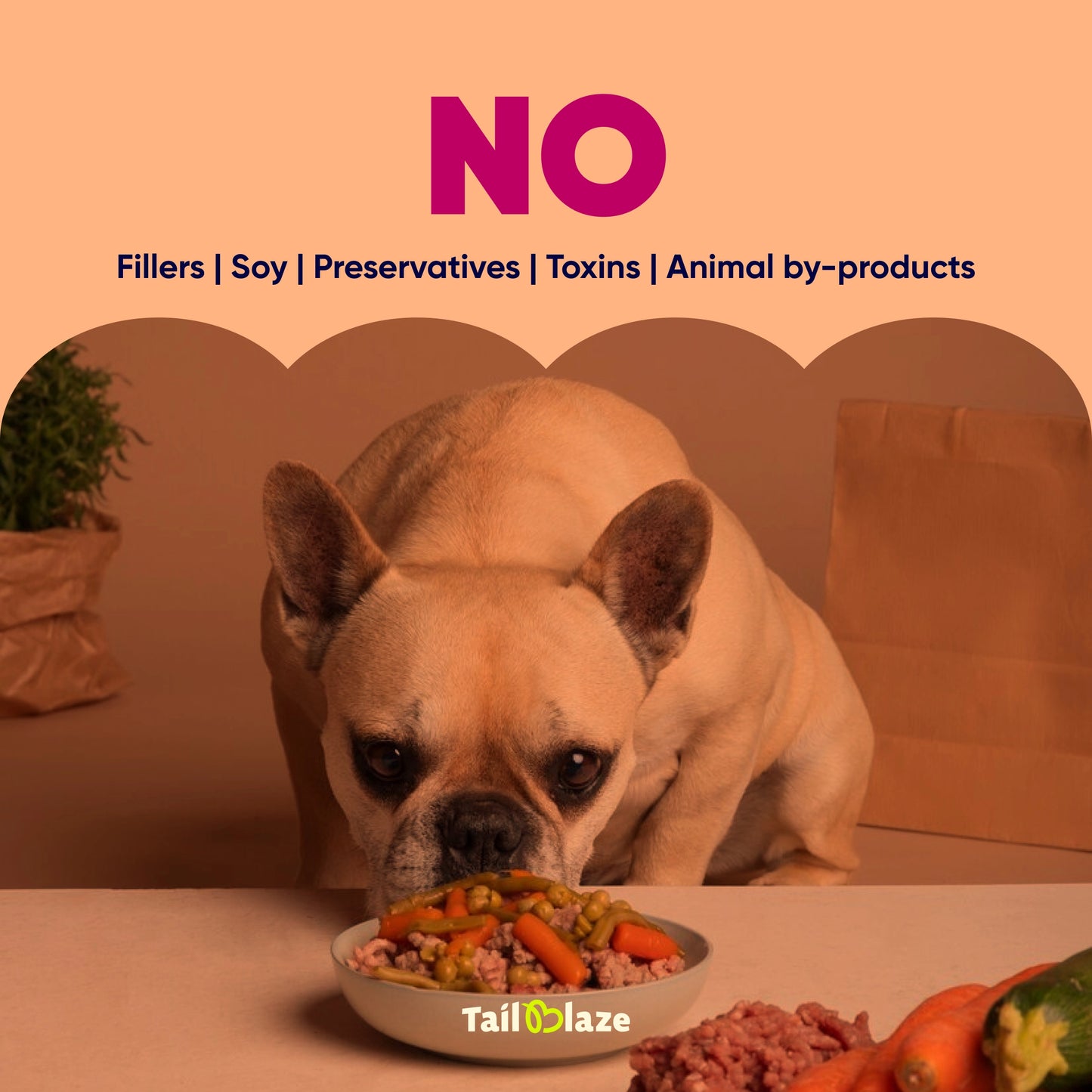 TailBlaze Grandma's Signature Muscle Treats | 100% Organic Chicken | Premium Protein Dog Treats