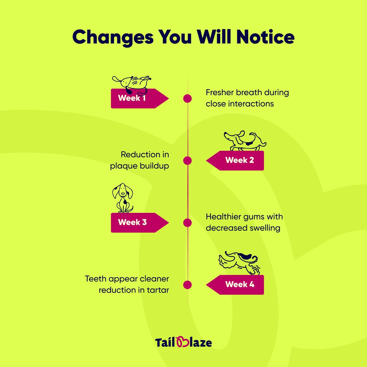 TailBlaze Chipots Dental Care Treats | Fresh Breath & Clean Teeth | Organic Dental Dog Treats