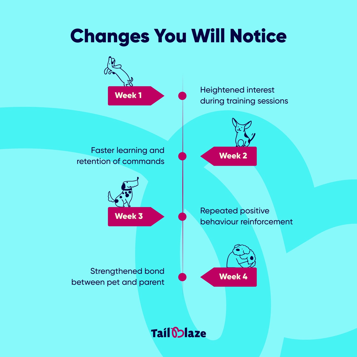 TailBlaze LOL! Training Treats | Small Size, High Success | Organic Dog Training Rewards