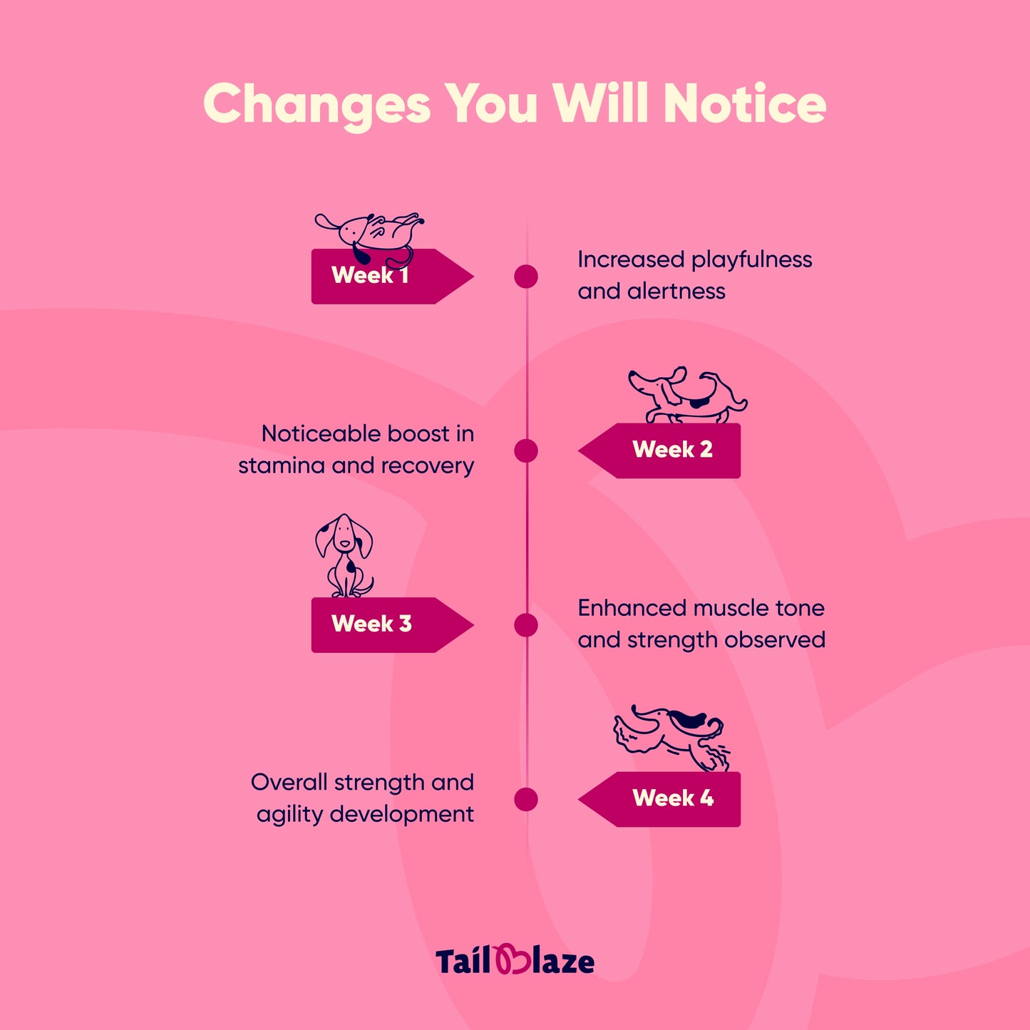 TailBlaze Grandma's Signature Muscle Treats | 100% Organic Chicken | Premium Protein Dog Treats