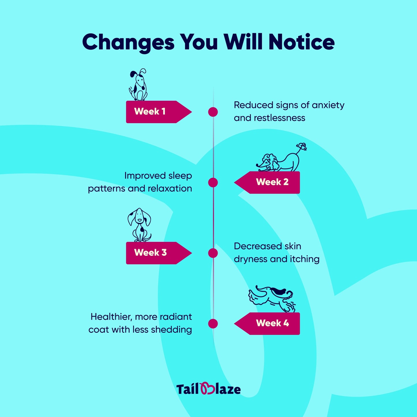 TailBlaze Cocool Calming & Skin Care Treats | Anti-Anxiety & Coat Health | Organic Dog Treats