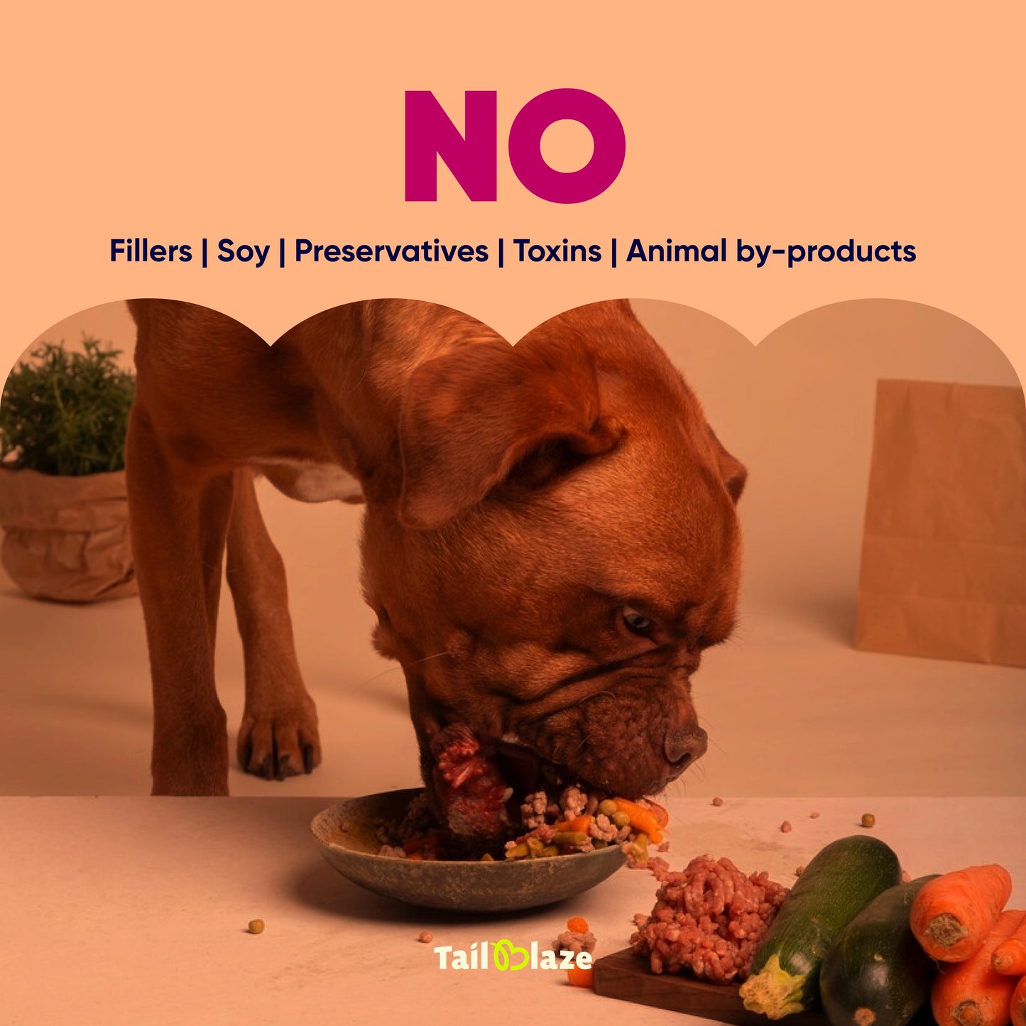 TailBlaze Back to C Sensitive Dog Treats | Hypoallergenic Tuna & Strawberry | Organic Allergy-Friendly Treats