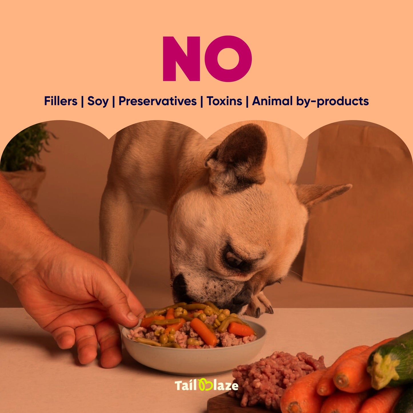 Winter Wellness Combo Pack