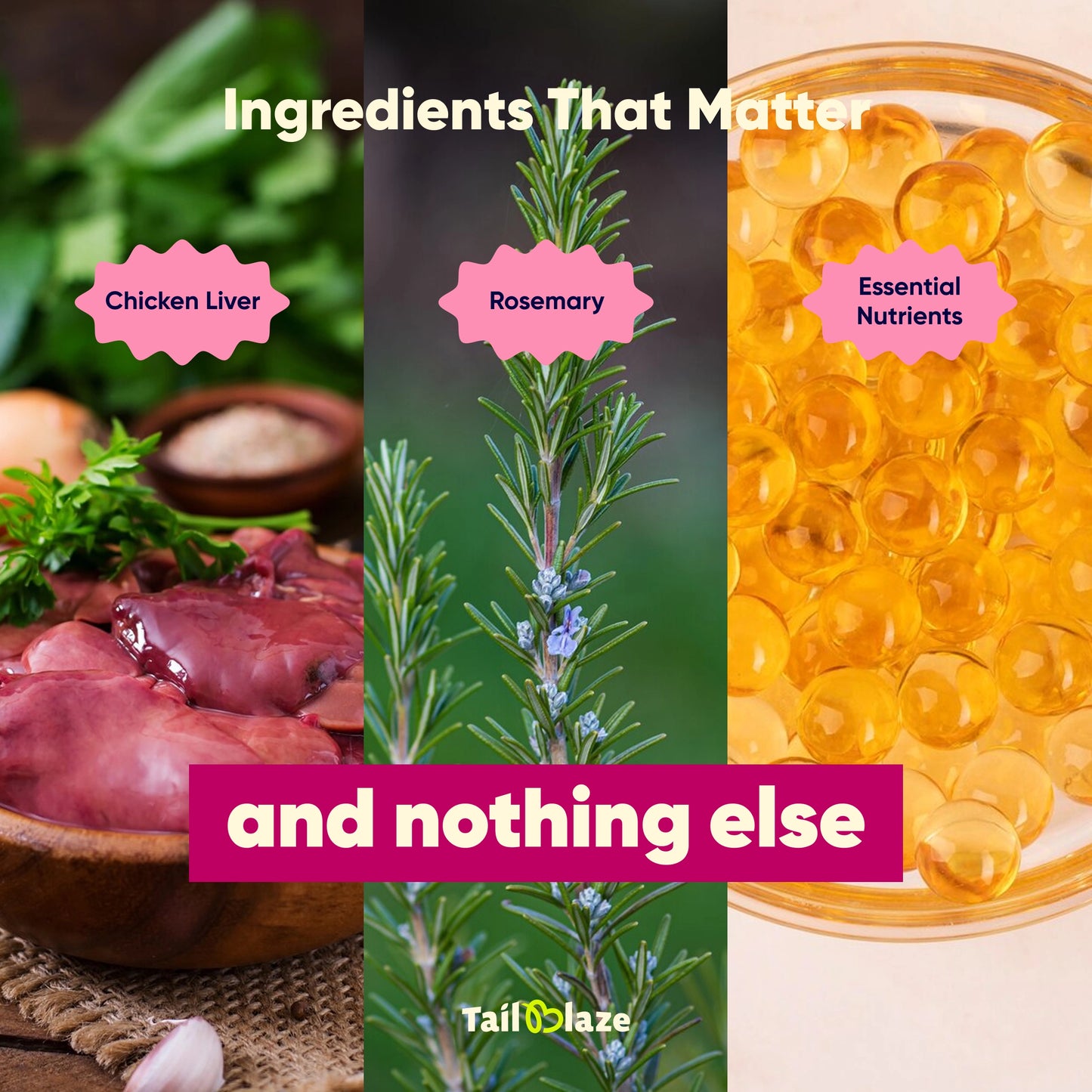 TailBlaze LOL! Training Treats | Small Size, High Success | Organic Dog Training Rewards