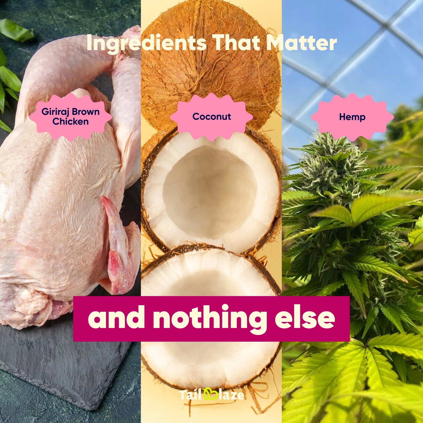 TailBlaze Cocool Calming & Skin Care Treats | Anti-Anxiety & Coat Health | Organic Dog Treats