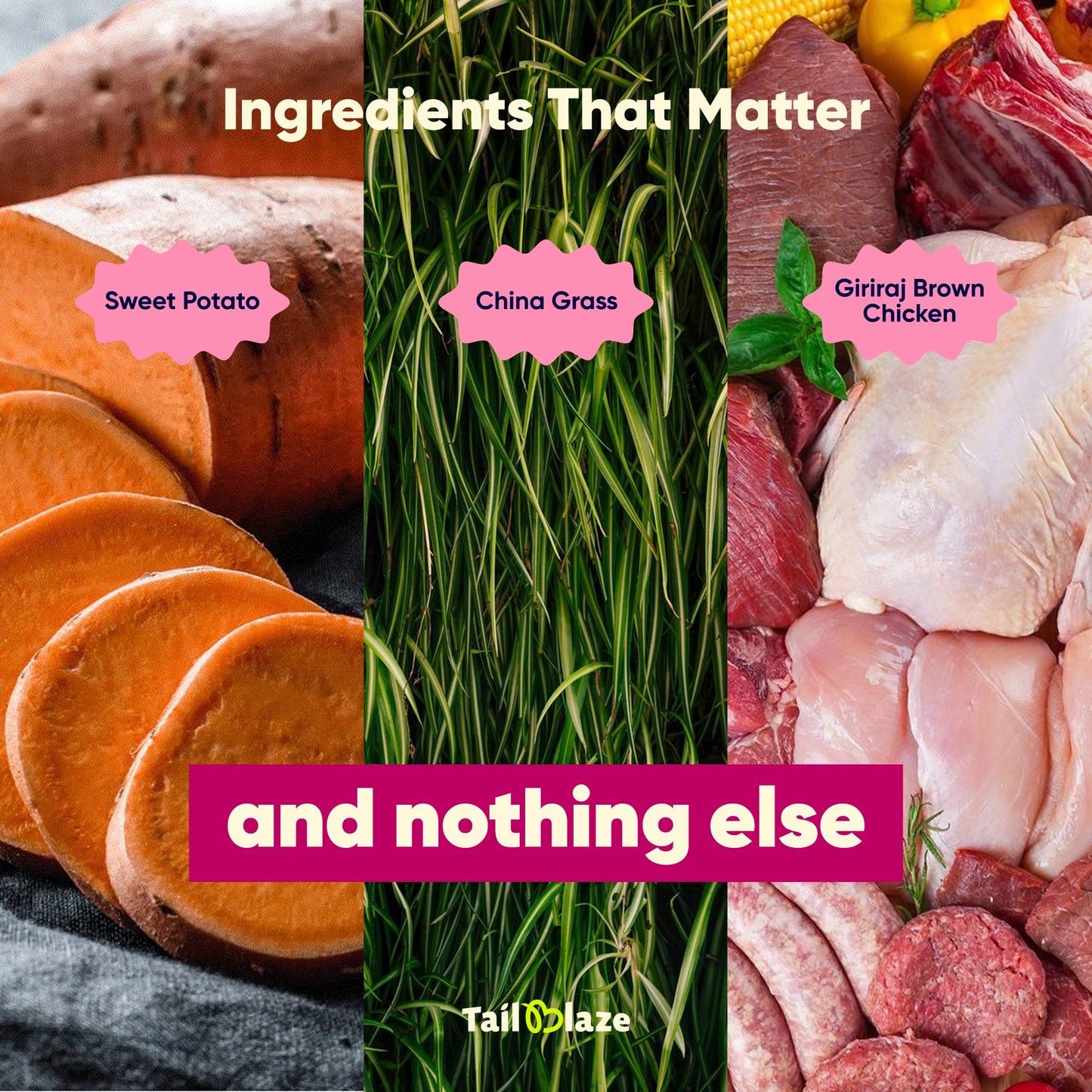 TailBlaze Chipots Dental Care Treats | Fresh Breath & Clean Teeth | Organic Dental Dog Treats