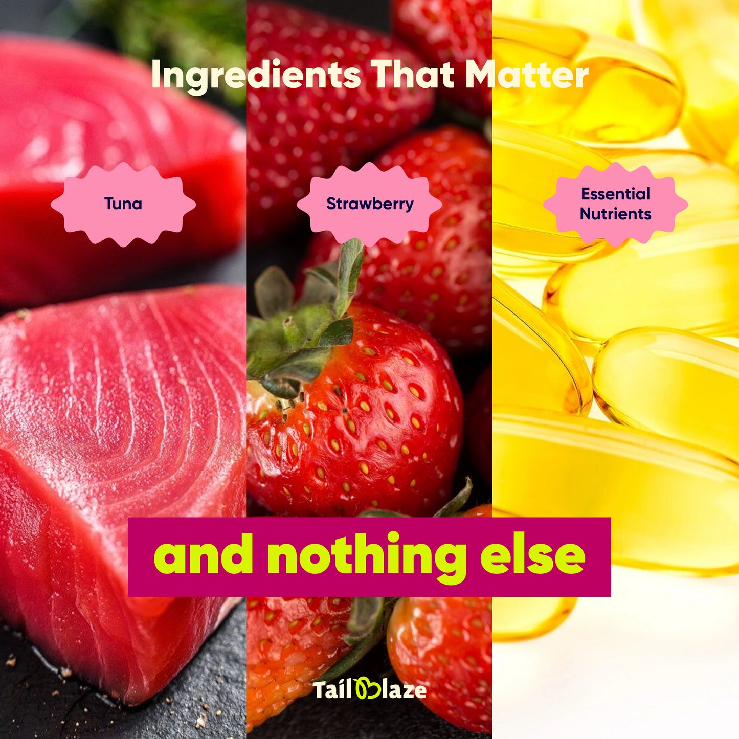 TailBlaze Back to C Sensitive Dog Treats | Hypoallergenic Tuna & Strawberry | Organic Allergy-Friendly Treats