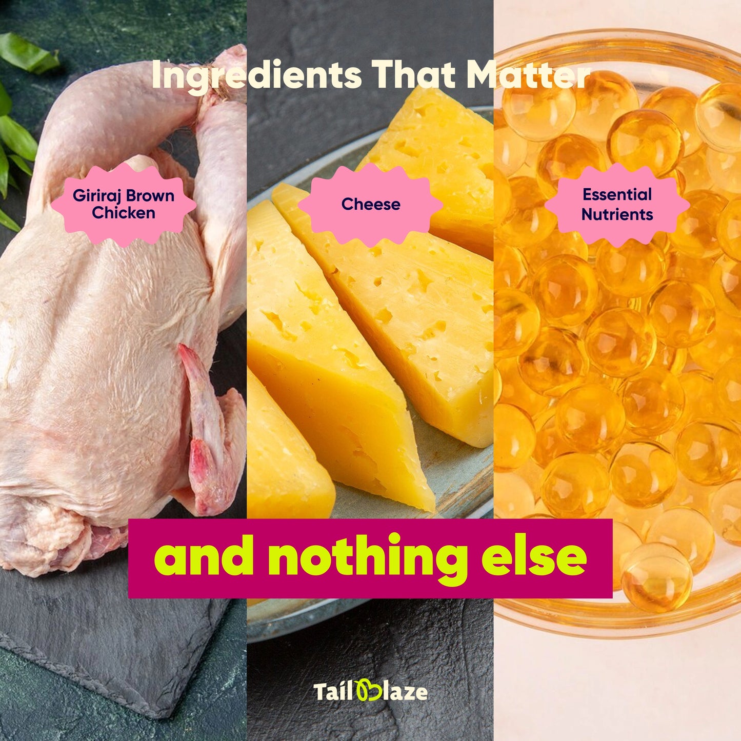 TailBlaze Grandma's Cheese Brain & Muscle Treats | Real Amul Cheese | Organic Smart Dog Treats