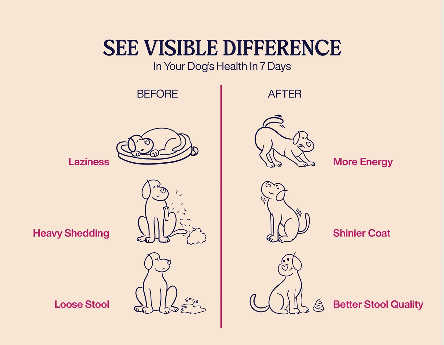 See the visible difference in your dog's health in 7 days