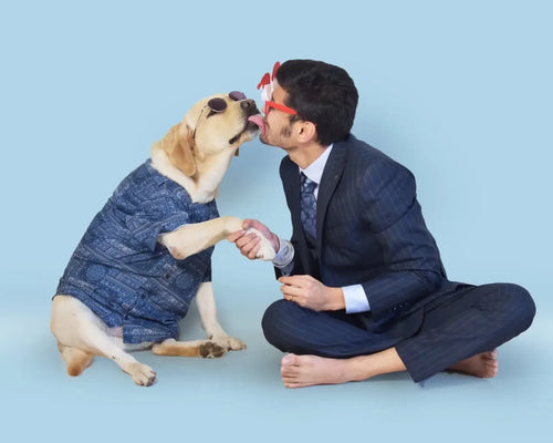 India's No.1 Pet-brand TailBlaze pre-files draft paper for IPO worth $900 million; likely to list around Diwali: News Report