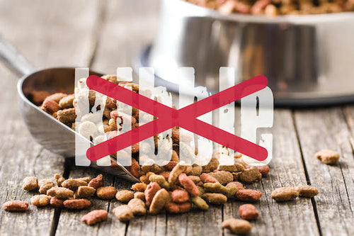 Shocking truths about commercial dog foods!