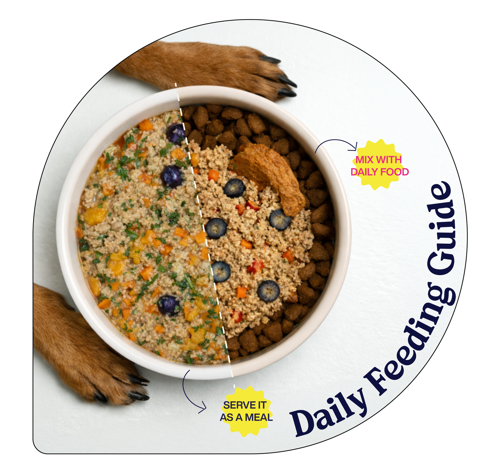 Labrador eating HeartPour fresh dog food