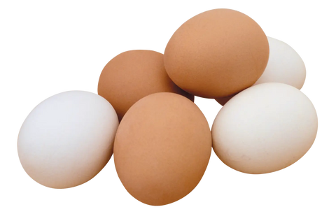 eggs