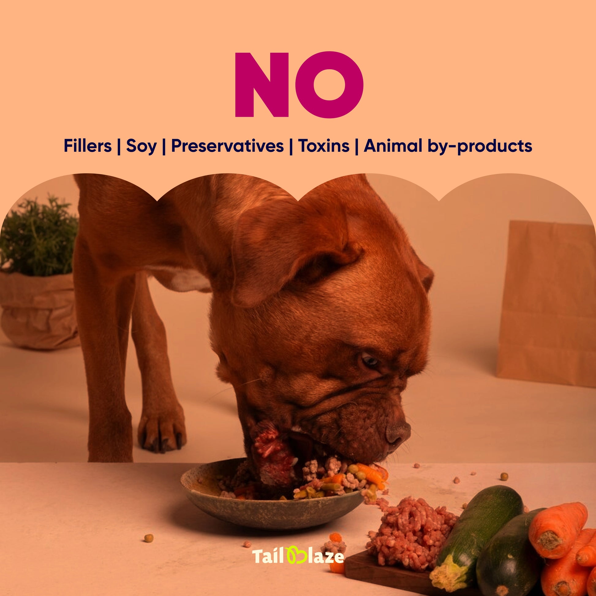 TailBlaze Back to C Sensitive Dog Treats Hypoallergenic Tuna Strawberry Organic Allergy-Friendly Treats