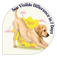 PanchaTatva Ayurvedic blend for dogs turmeric amla tulsi