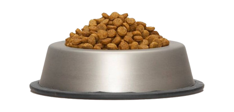 10 things/foods that you must never feed your Dog!