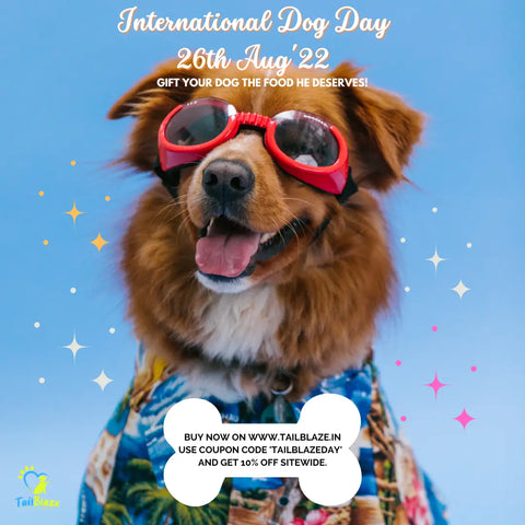 It’s International Dog Day 2022 - Here are some unknown facts about our cute ’furriends’ ❤️