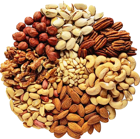 10 things/foods that you must never feed your Dog!