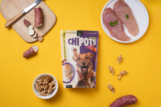 Chipots Mini Rs. 49 Treats (Pack of 19 + 1 Free)