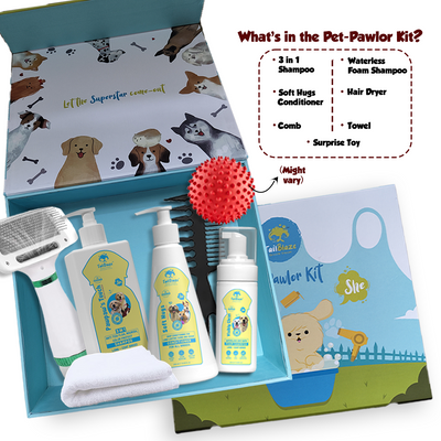 Groom Vroom Pet Pawlor Kit for Dogs | All in 1 Kit with Shampoo, Conditioner, Waterless Dry-Bath Foam Shampoo, 2 in 1 Hair Dryer worth Rs. 949 | With Free Dog Comb, Towel & Surprise Toy inside - Premium  from TailBlaze - Just Rs. 1996! Shop now at TailBlaze