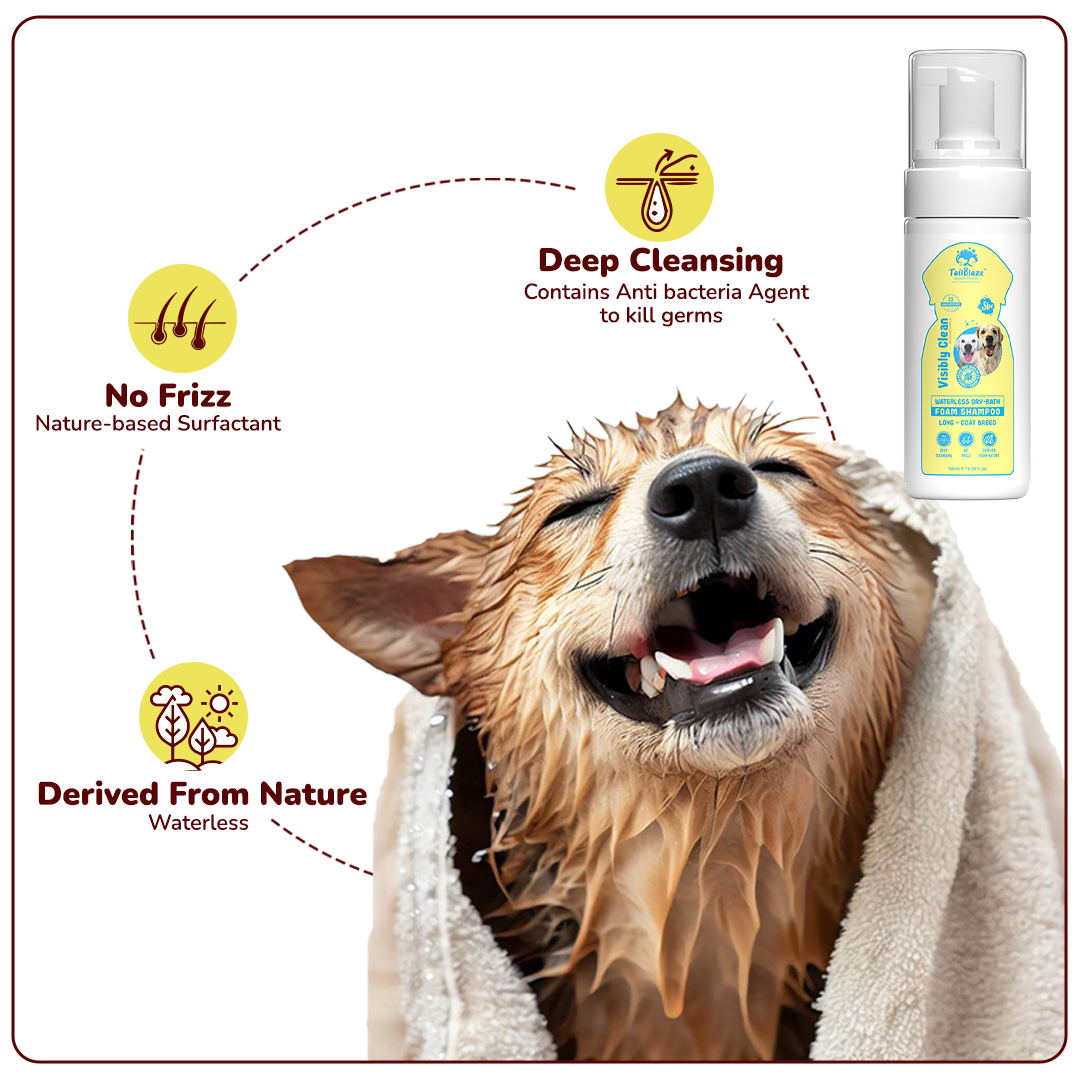 Groom Vroom Visibly Clean Waterless Dry-Bath Foam Dog Shampoo 150ml | With Free TailBlaze Comb - Premium  from TailBlaze - Just Rs. 319! Shop now at TailBlaze