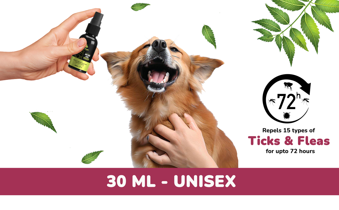 Pawssentials - Good Morning Walk Kit for Dogs | 5-steps daily Essentials: Anti Tick Flea Spray, Paw & Butt Spray, Paw & Elbow Butter, Sanitizer, Deodorizer | With Free Towel, Comb and Toy - Premium  from TailBlaze - Just Rs. 1595! Shop now at TailBlaze