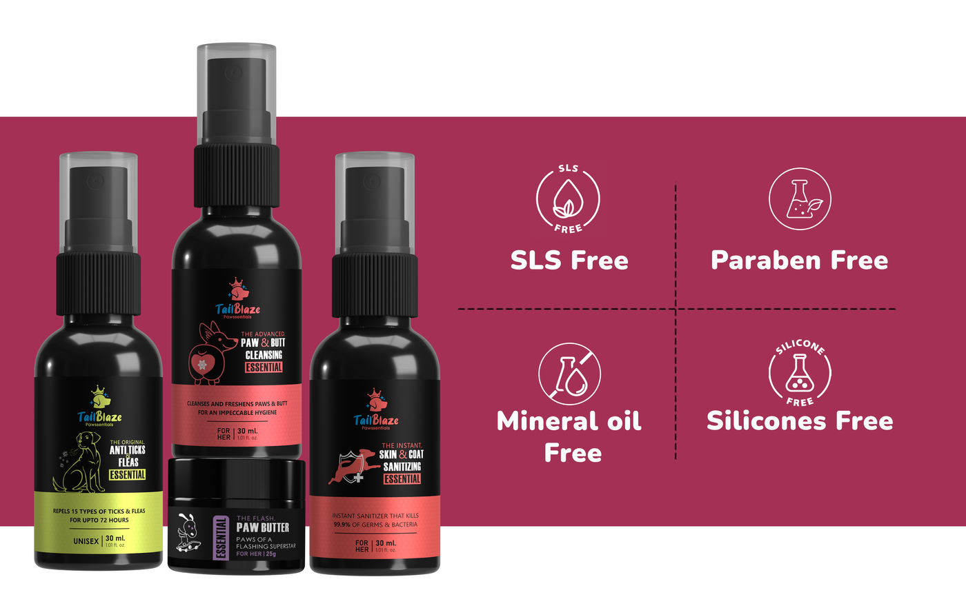Pawssentials - Good Morning Walk Kit for Dogs | 5-steps daily Essentials: Anti Tick Flea Spray, Paw & Butt Spray, Paw & Elbow Butter, Sanitizer, Deodorizer | With Free Towel, Comb and Toy - Premium  from TailBlaze - Just Rs. 1595! Shop now at TailBlaze