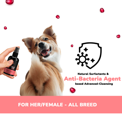 Pawssentials - The Advanced Paw & Butt Cleansing Essential for Dogs 100ml | Cleanses and Freshens Paw & Butt for an impeccable hygiene - Premium  from TailBlaze - Just Rs. 345! Shop now at TailBlaze