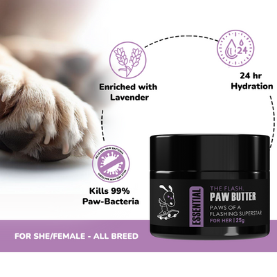 Pawssentials -  The Flash Paw Butter Essential for Dogs 25g | Blooming Lavender - Premium  from TailBlaze - Just Rs. 245! Shop now at TailBlaze